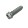 Surub 8x30mm TX40 - motortools Baia Mare mtmoto.ro